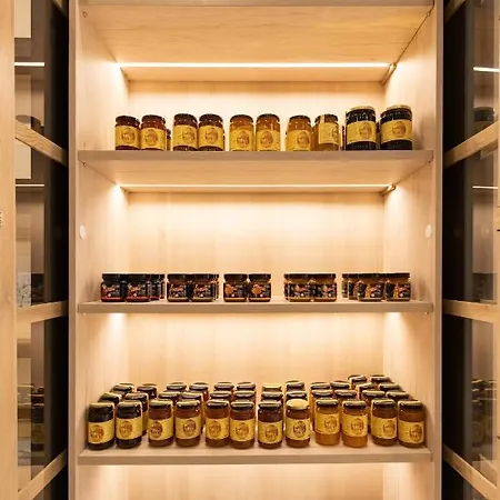 Epoch House & The Orange Shop - Adults Only Hotel